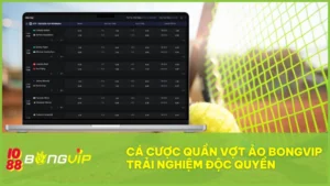 Cá cược Quần Vợt Ảo BONGVIP - Trải nghiệm độc quyền 3 Cá cược Quần Vợt Ảo BONGVIP – Sân chơi không giới hạn