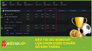 Kèo tài xỉu BONGVIP - Lựa chọn cược chuẩn số bàn thắng 9 Đọc vị kèo tài xỉu BongVip: Chìa khóa thắng lớn cho dân cá độ