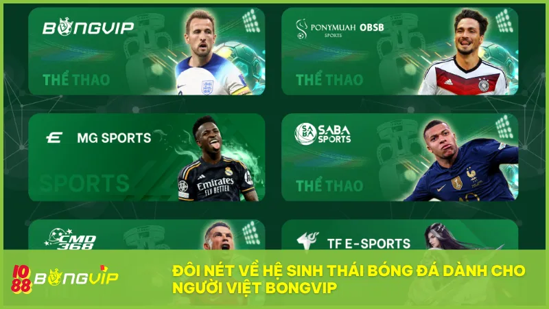 Giới thiệu 1 Toàn cảnh hệ sinh thái Bongvip