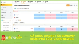 Cá cược Cricket ảo BONGVIP - Khám phá từ A-Z cho newbie 2 Tất tần tật về cá cược Cricket ảo BONGVIP cho newbie